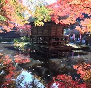 中尊寺と猊鼻渓♪の画像