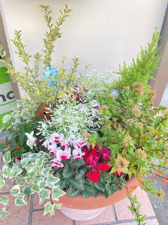 冬バージョン♪の画像