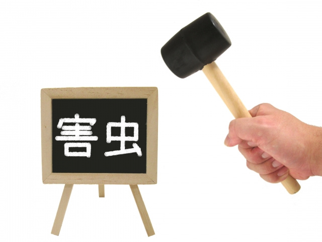 虫が出やすい賃貸物件の特徴とは？見分け方や防虫対策まで解説