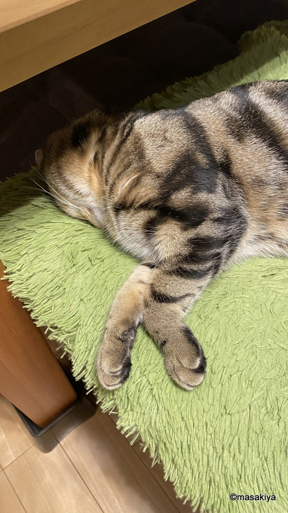 窒息寸前の画像