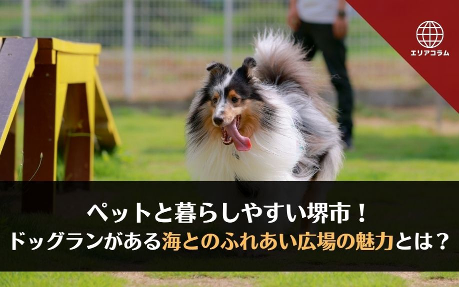 ペットと暮らしやすい堺市！ドッグランがある海とのふれあい広場の魅力とは？