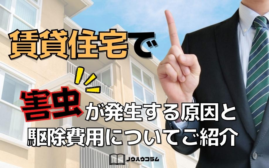 賃貸住宅で害虫が発生する原因と駆除費用についてご紹介の画像
