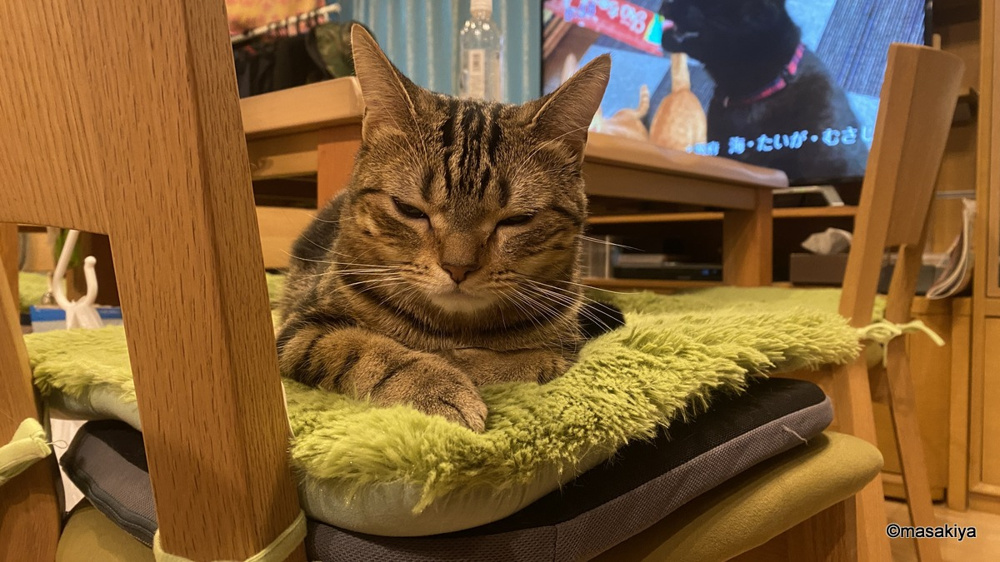 食べて寝る生活の画像