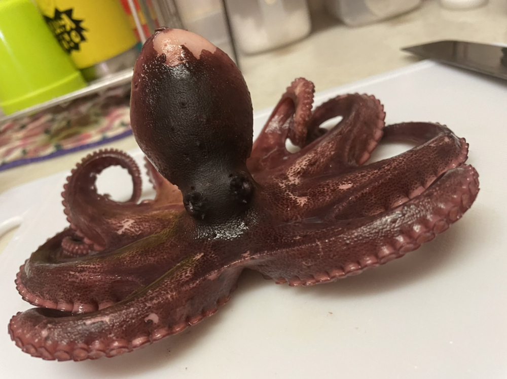 好きな食べ物の画像