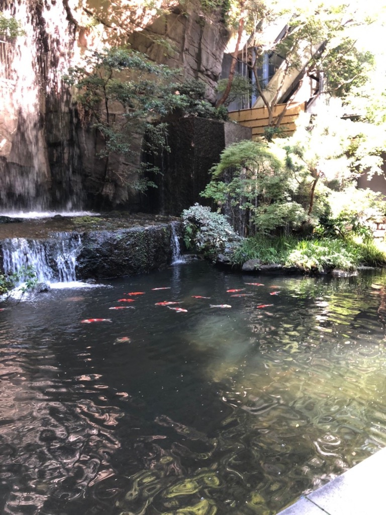 日本庭園に癒されるの画像