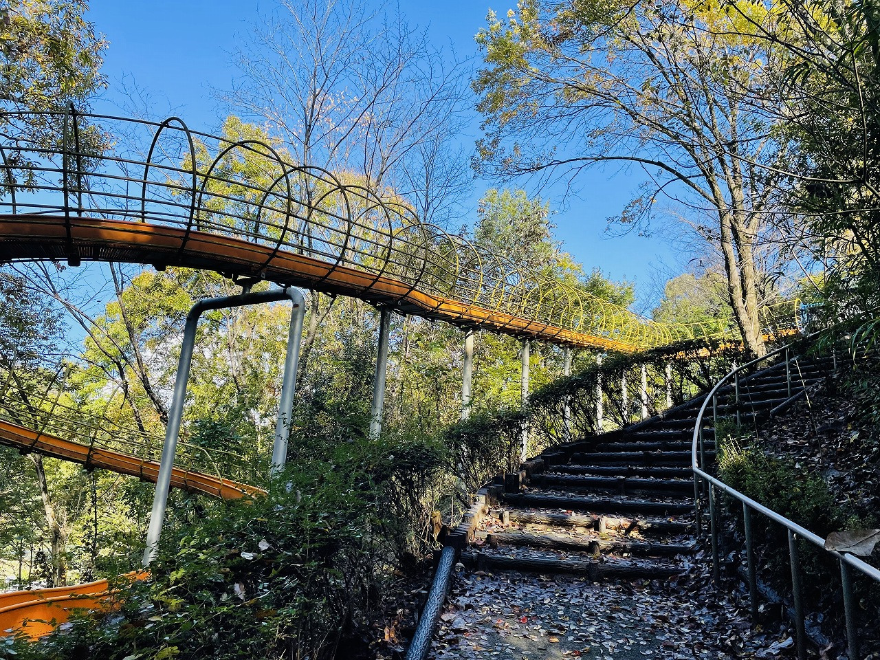 殿入中央公園ってご存じですか??の画像