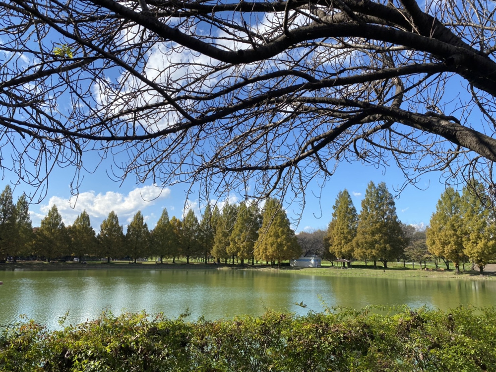川越水上公園の画像