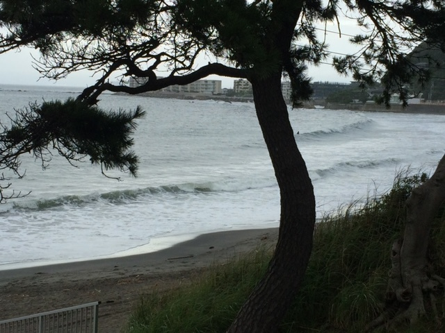 悪天候最高？！の画像