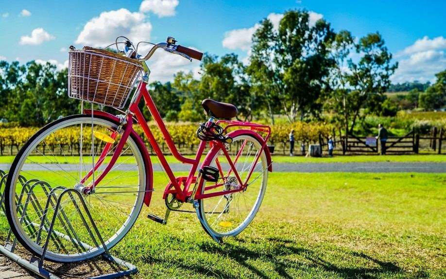 世田谷区にある桜丘すみれば自然庭園の利用情報と施設概要