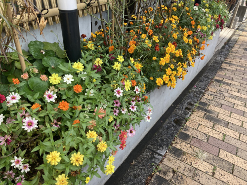 右手にトング・・・の画像