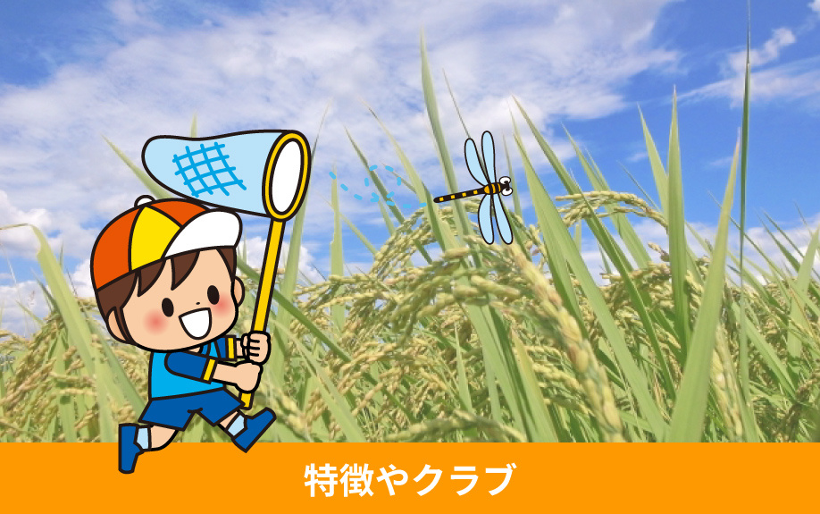 厚木市にある「あつぎこどもの森公園」の特徴やクラブとは？