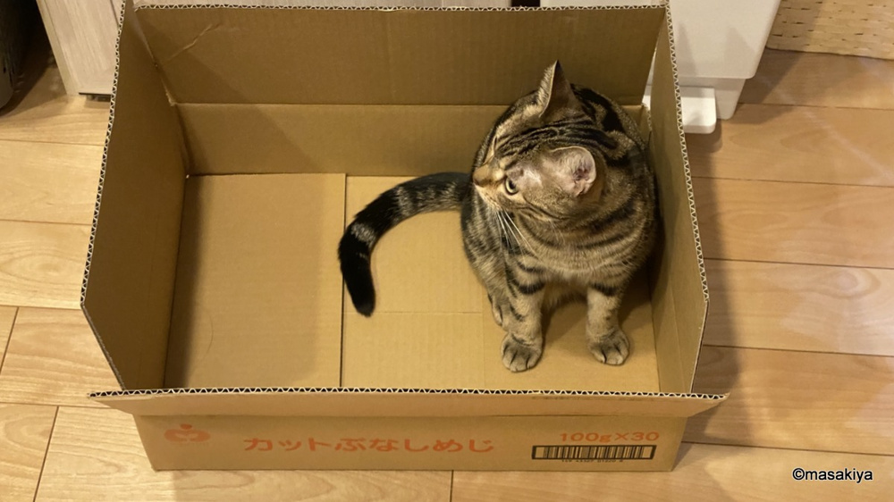 箱の画像