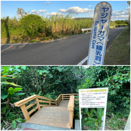 久米島♪～久米島仙人 第二弾～の画像