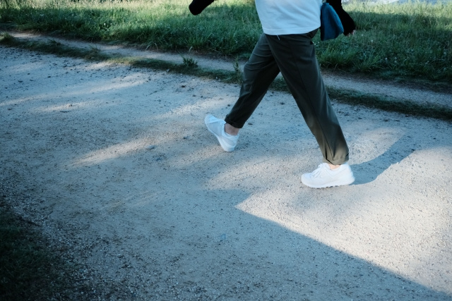 市川市の「いちかわウォーキングマップ」を見てウォーキングを楽しもう！