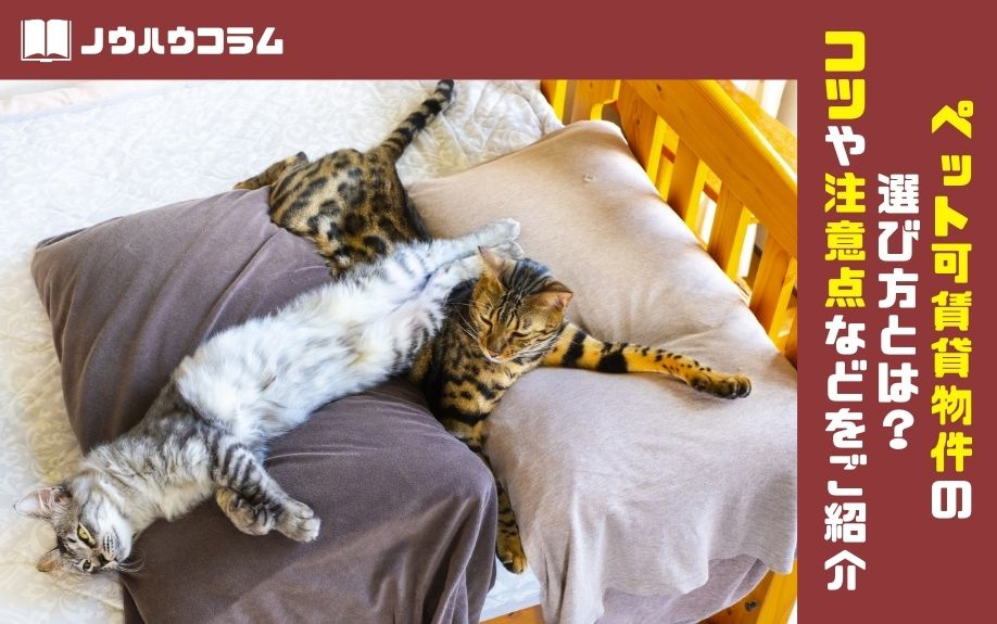 ペット可賃貸物件の選び方とは？コツや注意点などをご紹介