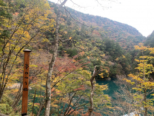 秋といえばの画像