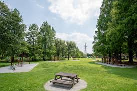 公園近くの物件のメリット♪の画像