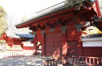 今日は何の日？の画像