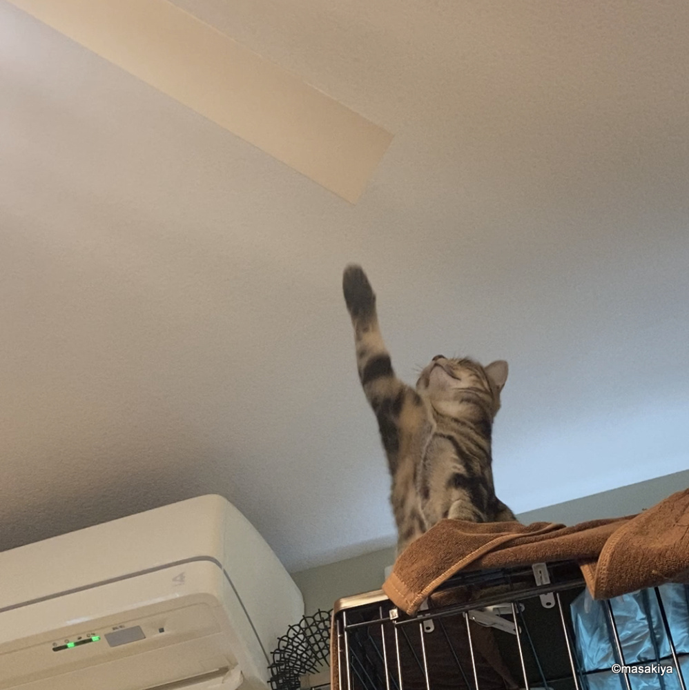 そろそろ大掃除の画像