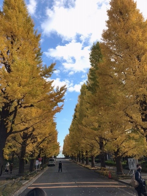 日吉にも紅葉が訪れてますの画像