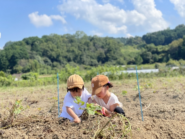【東京都あきる野市にある「東京地球農園」の概要と楽しみ方をご紹介！】の画像