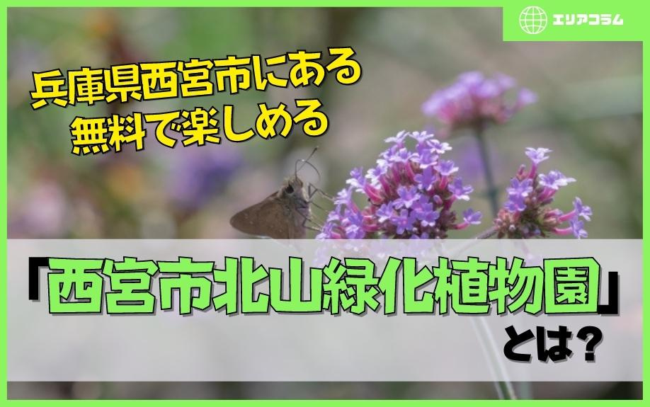 兵庫県西宮市にある無料で楽しめる「西宮市北山緑化植物園」とは？