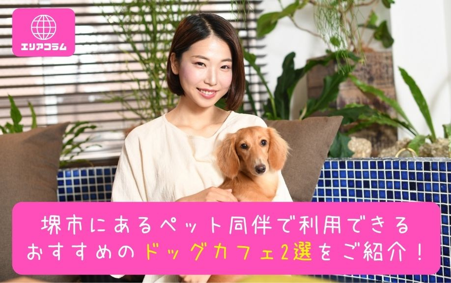 堺市にあるペット同伴で利用できるおすすめのドッグカフェ2選をご紹介！