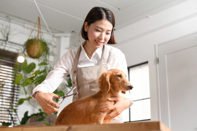 堺市のドッグカフェLa luce