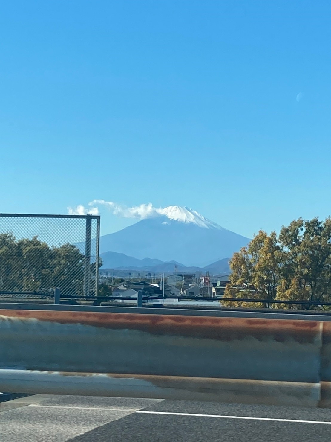 みかんの画像