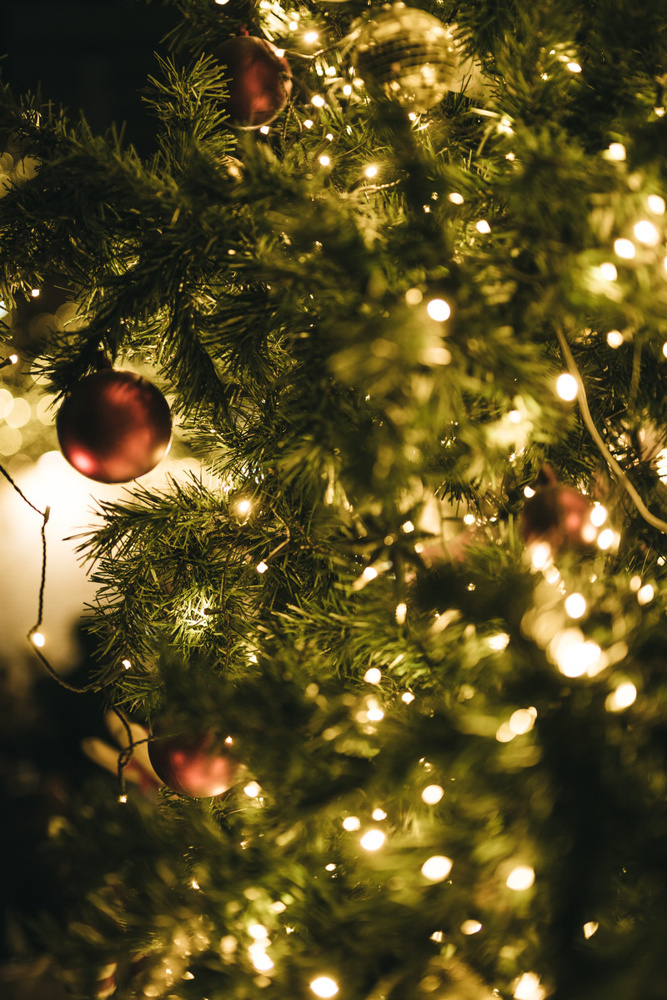 12月7日【クリスマスツリーの日】の画像