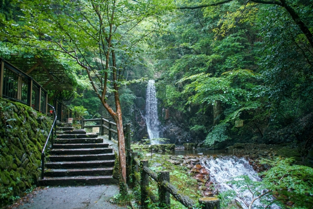 神戸市北区にある鼓ヶ滝公園は豊かな自然が魅力！の画像