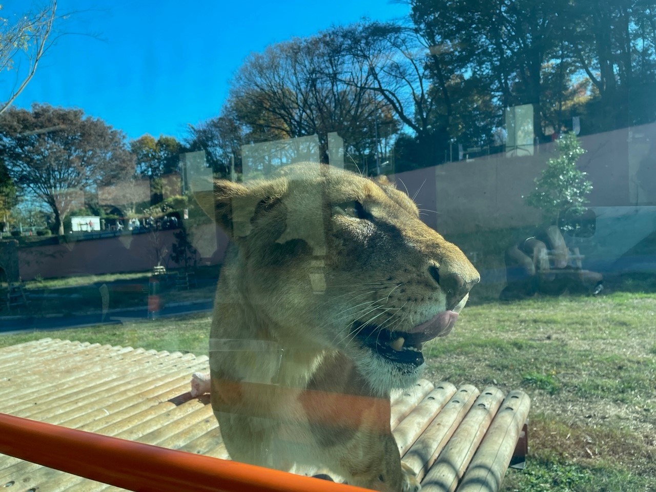 動物園 横浜市 川崎市の賃貸 株式会社アメニティーハウジング