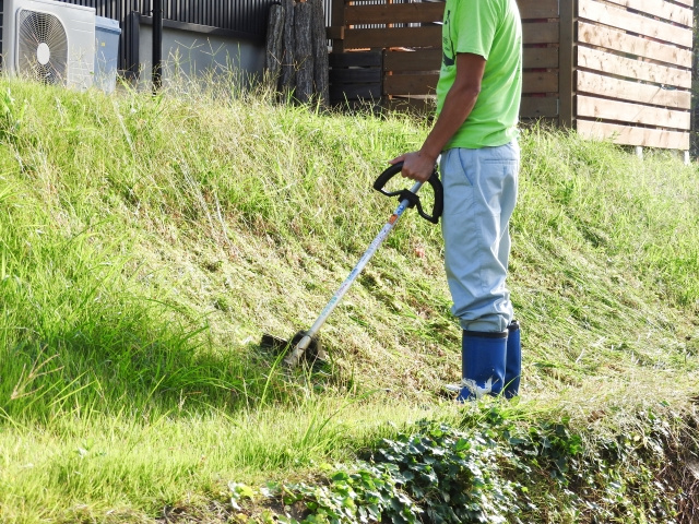 空き家を管理するうえで必要な雑草除去とは？必要性と除去の方法を解説の画像