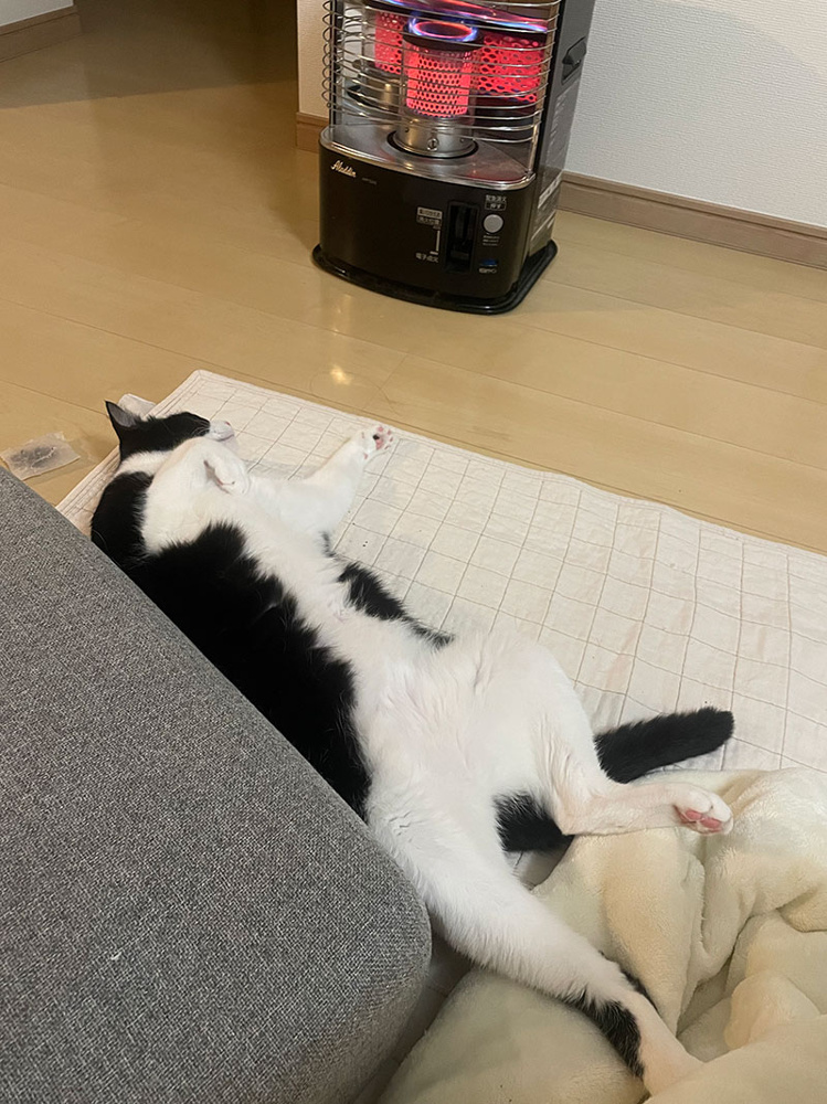 ストーブの季節がやってきたの画像