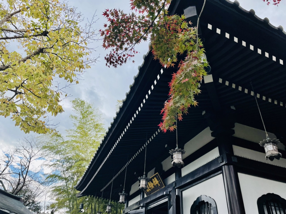 長谷寺1300年プロジェクトの画像