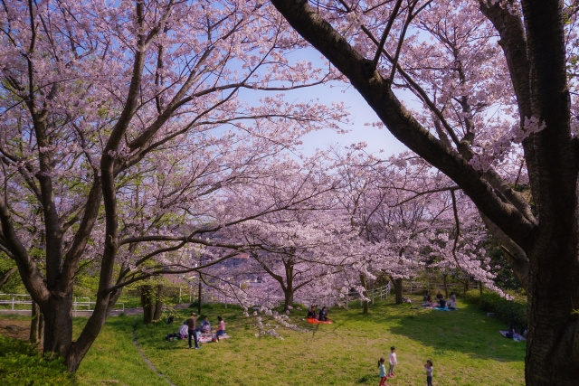 横浜市中区のお出かけスポット「本牧山頂公園」をご紹介！の画像
