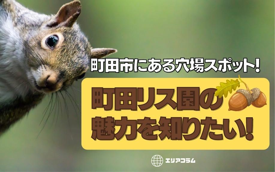 町田市にある穴場スポット！町田リス園の魅力を知りたい！