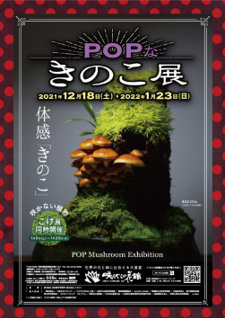POPなきのこ展の画像