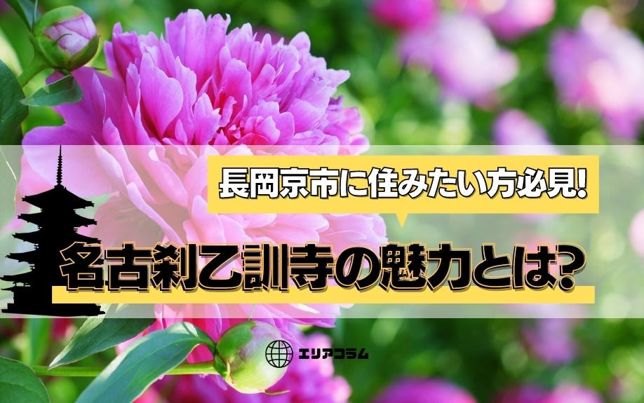 長岡京市にある「乙訓寺」の魅力やアクセス方法とは？の画像