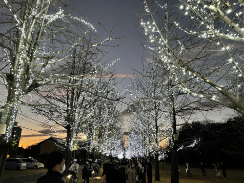 学びの森イルミネーションの画像