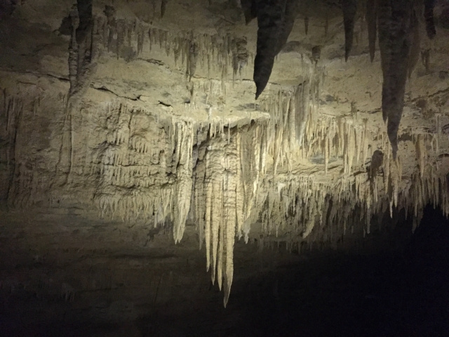 【東京都あきる野市の大岳鍾乳洞と大岳キャンプ場の魅力とは？施設概要や料金もチェック！】の画像