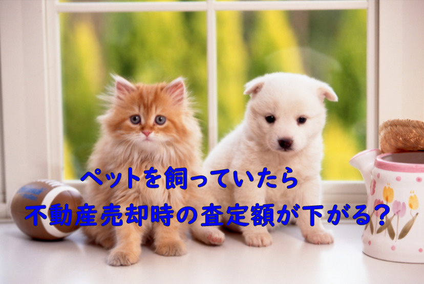 ペットを飼っていたら不動産売却時の査定額が下がる？の画像