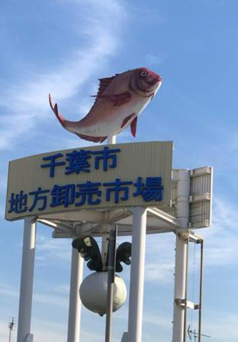 めでタイ　☆彡の画像