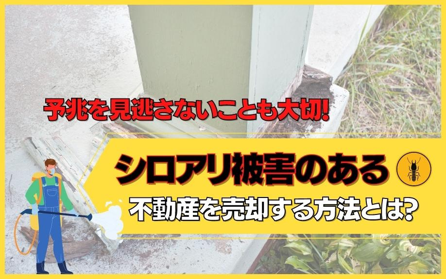 シロアリ被害のある不動産を売却する方法とは？予兆を見逃さないことも大切！の画像