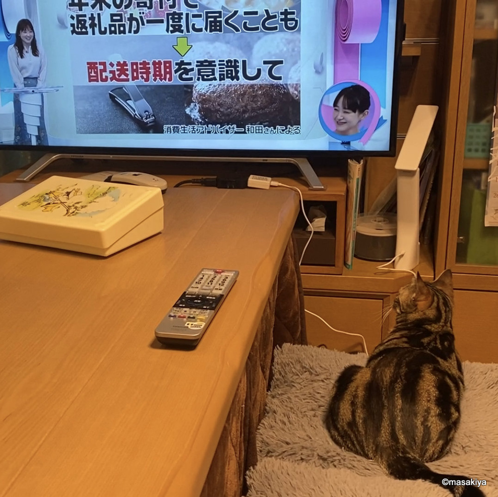 気に入ったお部屋はお早めに②m(_ _)mの画像