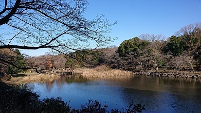 散歩の画像
