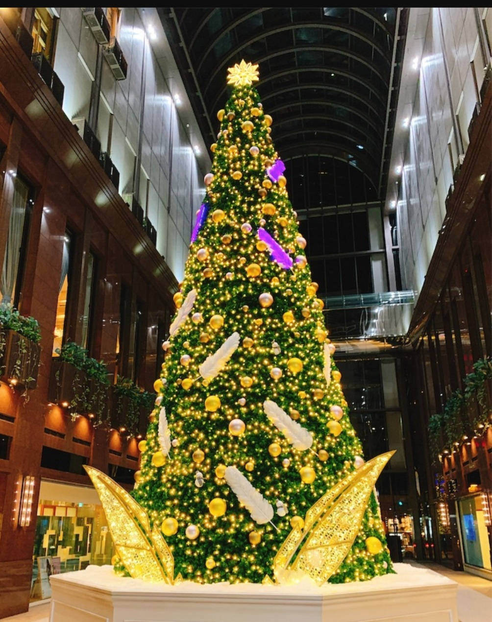 クリスマスイヴ!の画像