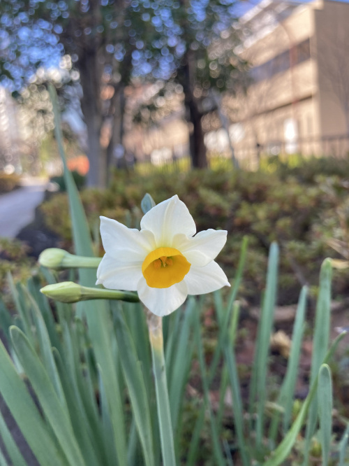 令和3年・最終投稿・・・の画像