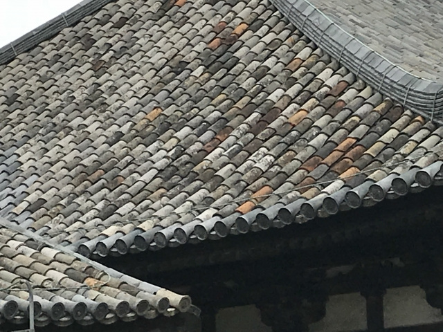 南都七大寺②　元興寺