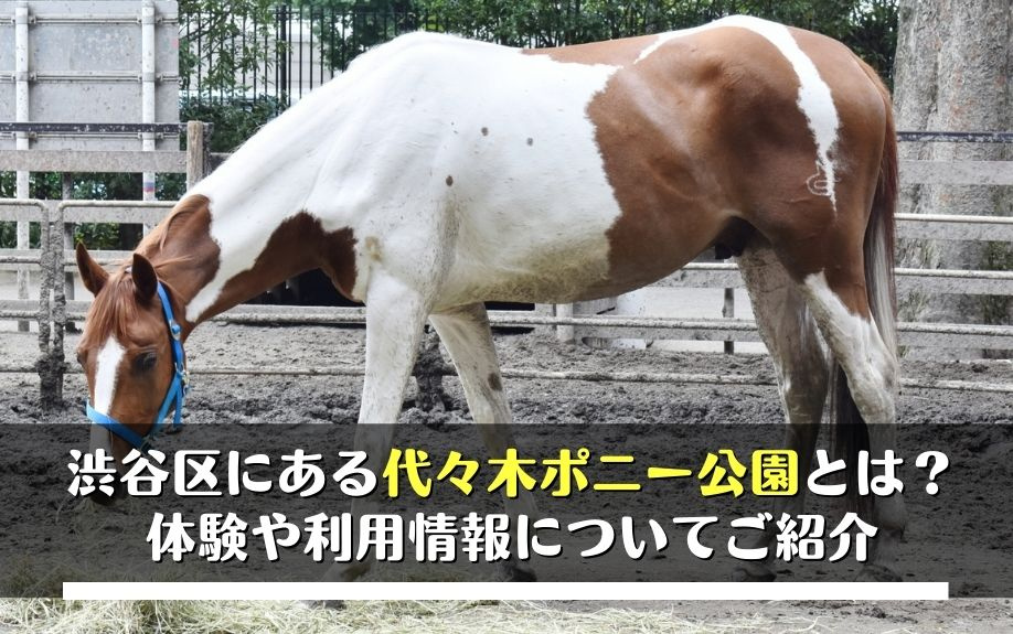 渋谷区にある代々木ポニー公園とは？体験や利用情報についてご紹介の画像